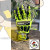 Ringers THL Handschuh R-297 ROUGHNECK Leuchtfarben Größe 9